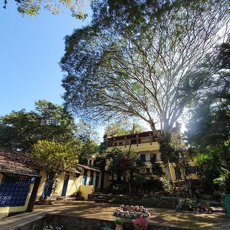 Casa Da Fonte Hospedaria Hotel Miguel Pereira Buitenkant foto